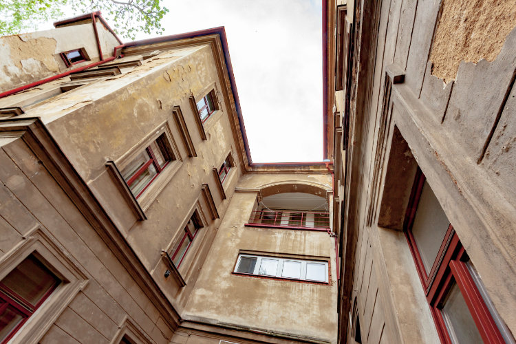 Plachého 6                                                                                          