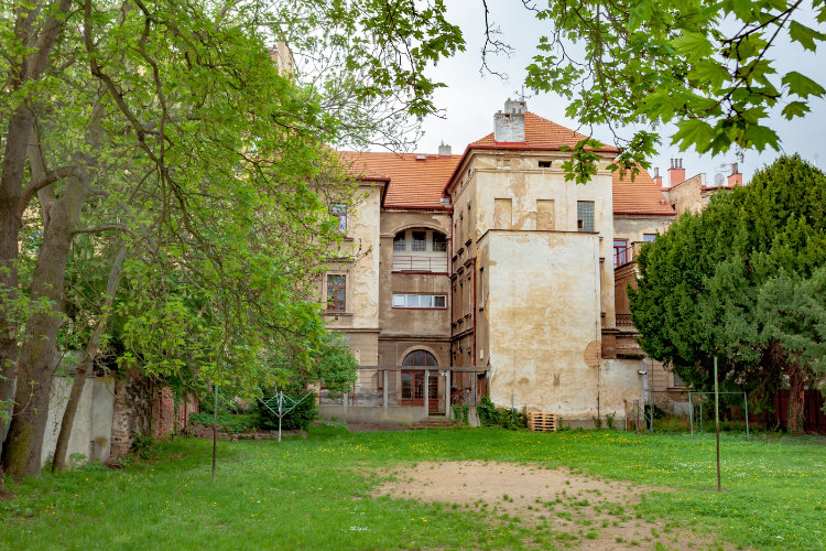 Plachého 6                                                                                          