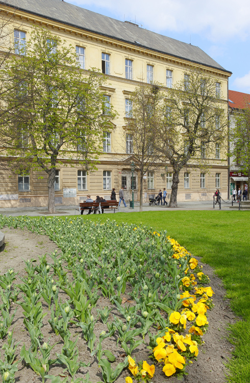 Konzervatoř – Dům, který zní hudbou                                                                 